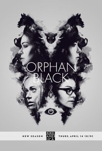 Orphan Black Season 3 Utorrent